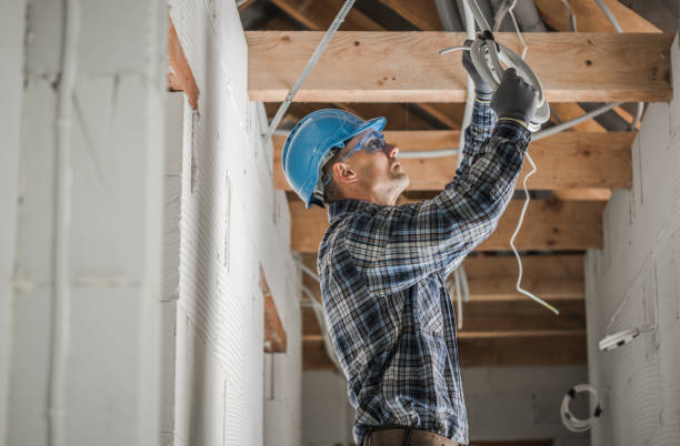 Best Ceiling Fan Installation Electrician  in Clarion, IA
