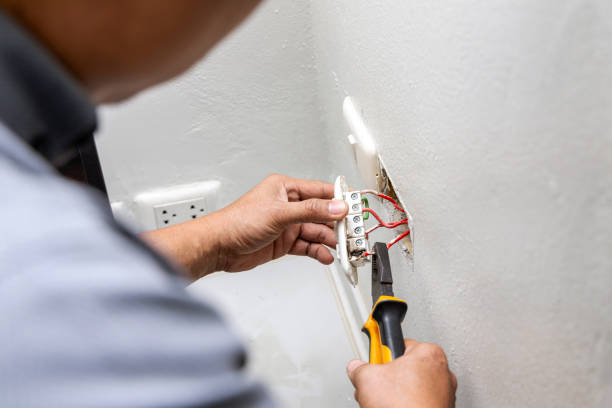 Best Electric Panel Repair  in Clarion, IA